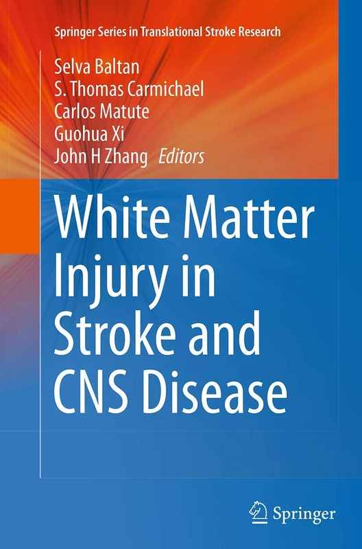 White Matter Injury in Stroke and CNS Disease: 4 (Springer Series in Translational Stroke Research, 4)