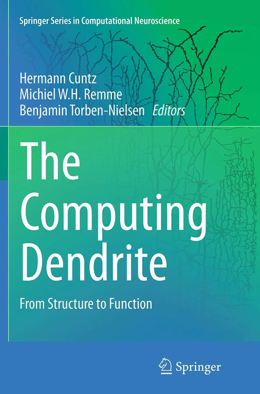 The Computing Dendrite: From Structure to Function: 11 (Springer Series in Computational Neuroscience, 11)