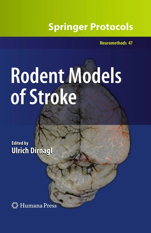 Rodent Models of Stroke: 47 (Neuromethods, 47)