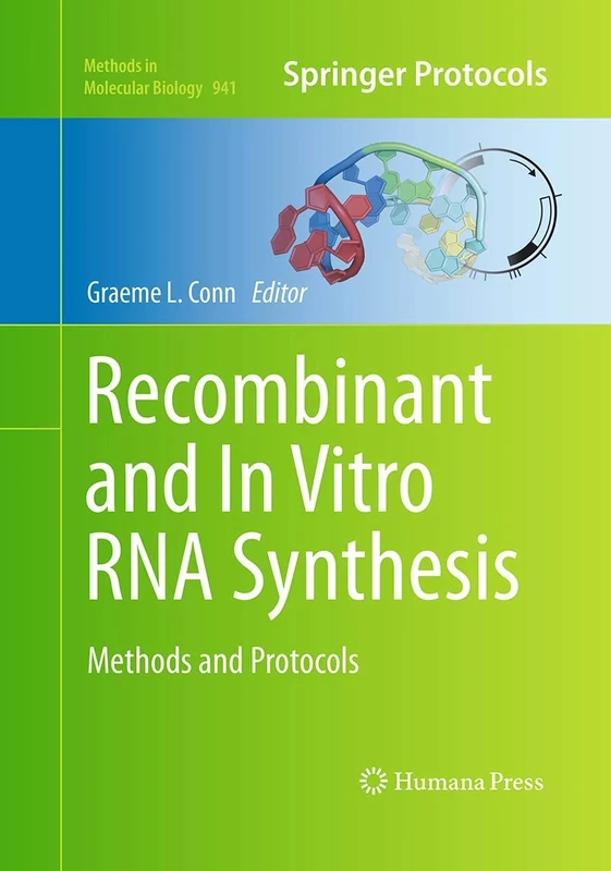 Recombinant and In Vitro RNA Synthesis: Methods and Protocols: 941 (Methods in Molecular Biology, 941)