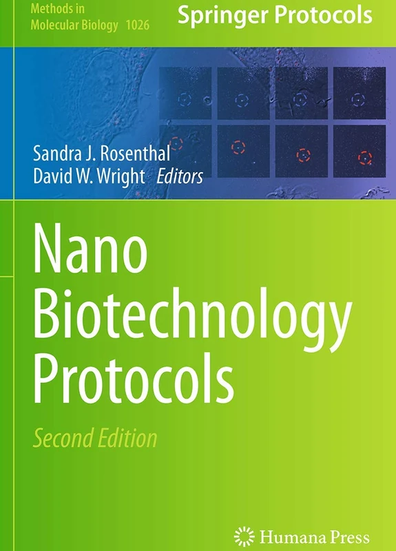 NanoBiotechnology Protocols: 1026 (Methods in Molecular Biology, 1026)