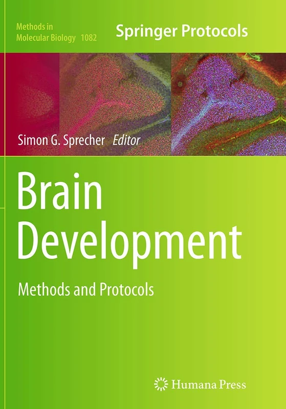 Brain Development: Methods and Protocols: 1082 (Methods in Molecular Biology)
