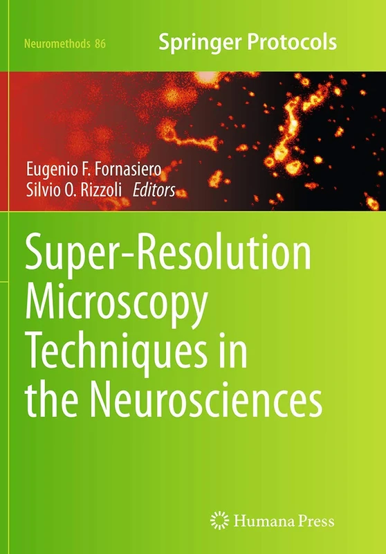 Super-Resolution Microscopy Techniques in the Neurosciences: 86 (Neuromethods, 86)