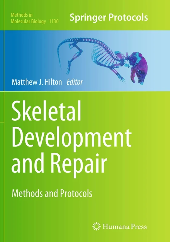 Skeletal Development and Repair: Methods and Protocols: 1130 (Methods in Molecular Biology, 1130)