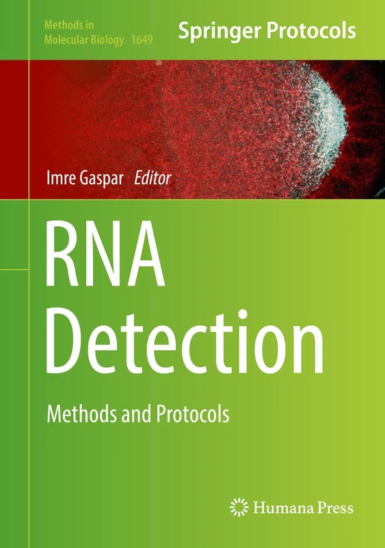 RNA Detection: Methods and Protocols: 1649 (Methods in Molecular Biology, 1649)