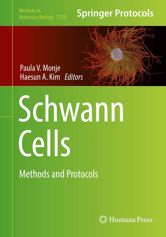 Schwann Cells: Methods and Protocols: 1739 (Methods in Molecular Biology, 1739)