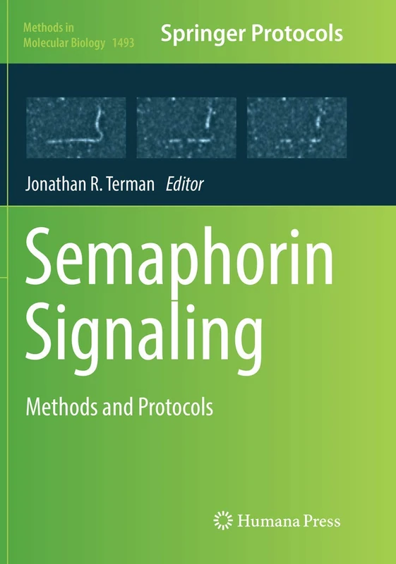Semaphorin Signaling: Methods and Protocols: 1493 (Methods in Molecular Biology, 1493) - Image 1