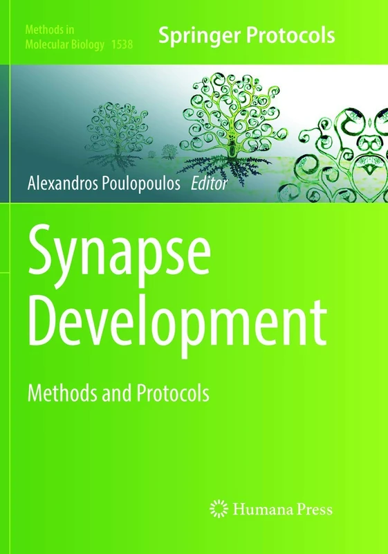 Synapse Development: Methods and Protocols: 1538 (Methods in Molecular Biology, 1538)