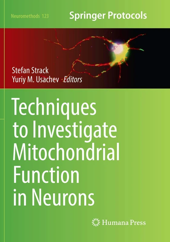 Techniques to Investigate Mitochondrial Function in Neurons: 123 (Neuromethods, 123)