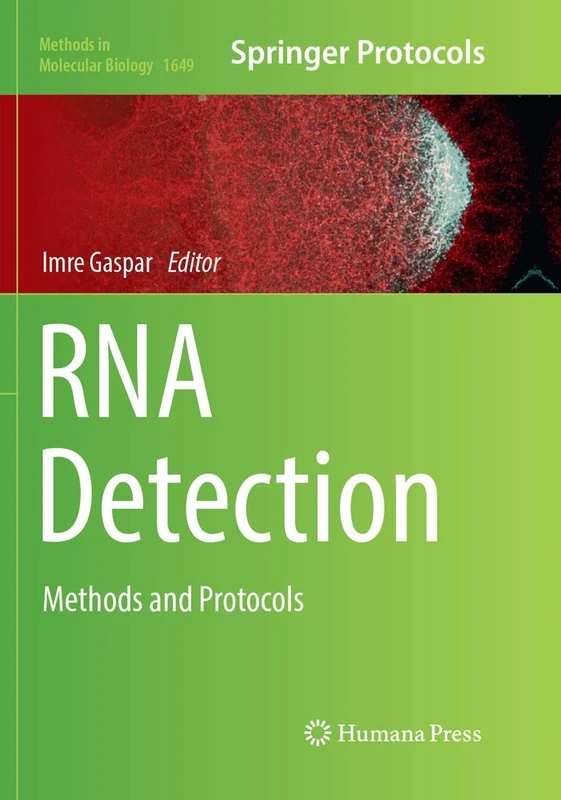 RNA Detection: Methods and Protocols: 1649 (Methods in Molecular Biology, 1649)