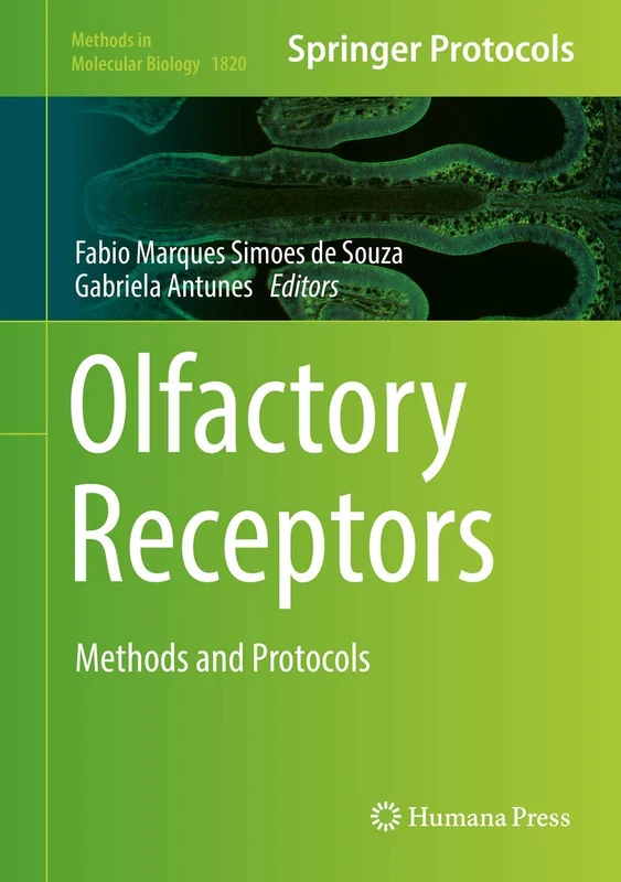 Olfactory Receptors: Methods and Protocols: 1820 (Methods in Molecular Biology, 1820)