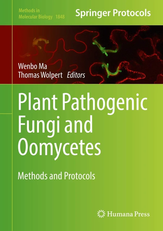 Plant Pathogenic Fungi and Oomycetes: Methods and Protocols: 1848 (Methods in Molecular Biology, 1848)