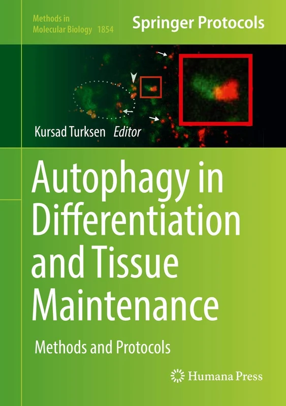 Autophagy in Differentiation and Tissue Maintenance: Methods and Protocols: 1854 (Methods in Molecular Biology, 1854)