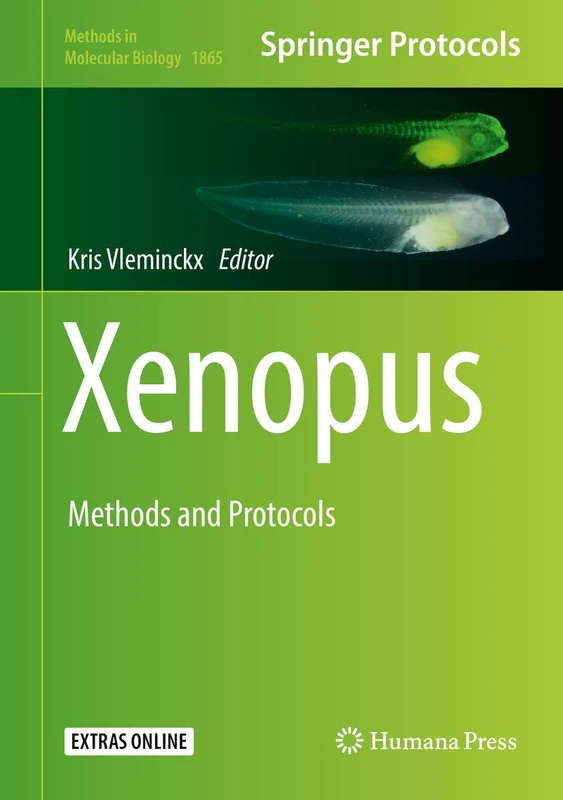 Humana Xenopus: Methods and Protocols: 1865 (Methods in Molecular Biology)