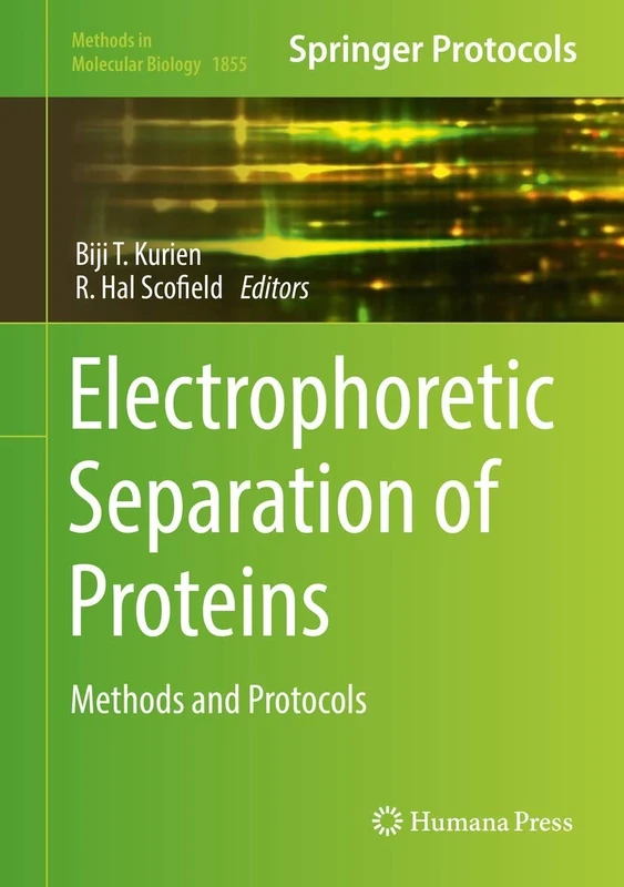 Electrophoretic Separation of Proteins: Methods and Protocols: 1855 (Methods in Molecular Biology, 1855)