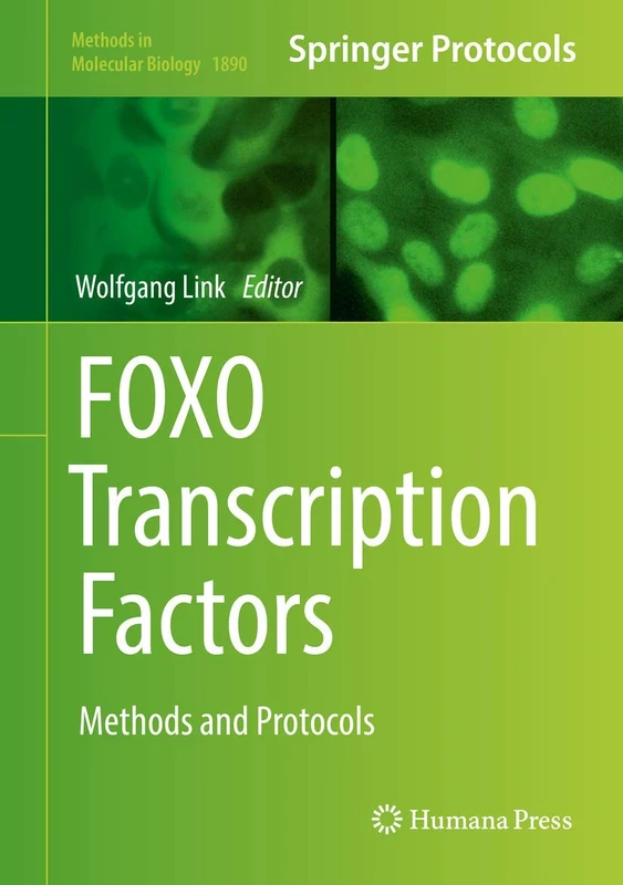 Humana FOXO Transcription Factors: Methods and Protocols 1890