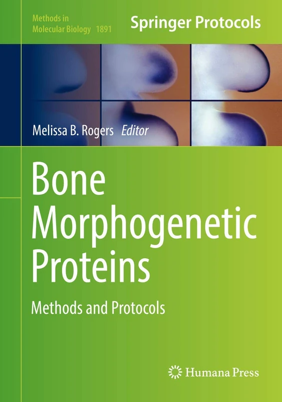 Bone Morphogenetic Proteins: Methods and Protocols: 1891 (Methods in Molecular Biology, 1891)