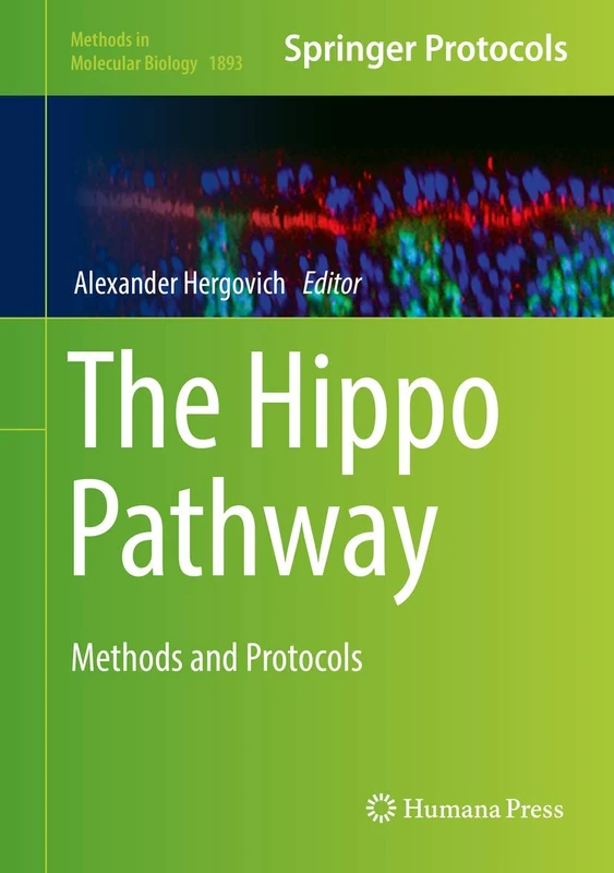 Humana The Hippo Pathway: Methods and Protocols 1893 Book