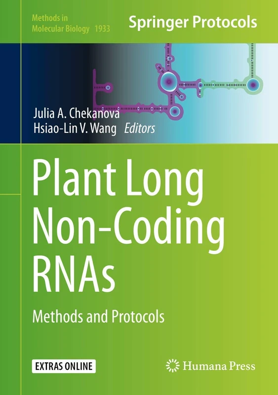 Humana Plant Long Non-Coding RNAs: Methods and Protocols 1933 - Image 1