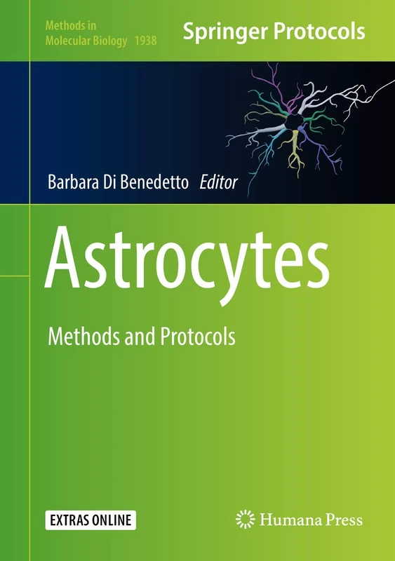 Astrocytes: Methods and Protocols: 1938 (Methods in Molecular Biology, 1938)