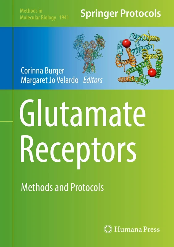Humana Glutamate Receptors: Methods and Protocols 1941