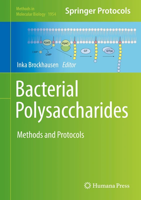 Bacterial Polysaccharides: Methods and Protocols: 1954 (Methods in Molecular Biology, 1954)