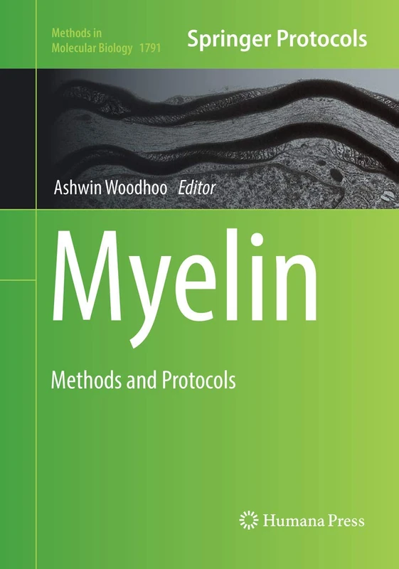 Myelin: Methods and Protocols: 1791 (Methods in Molecular Biology, 1791)