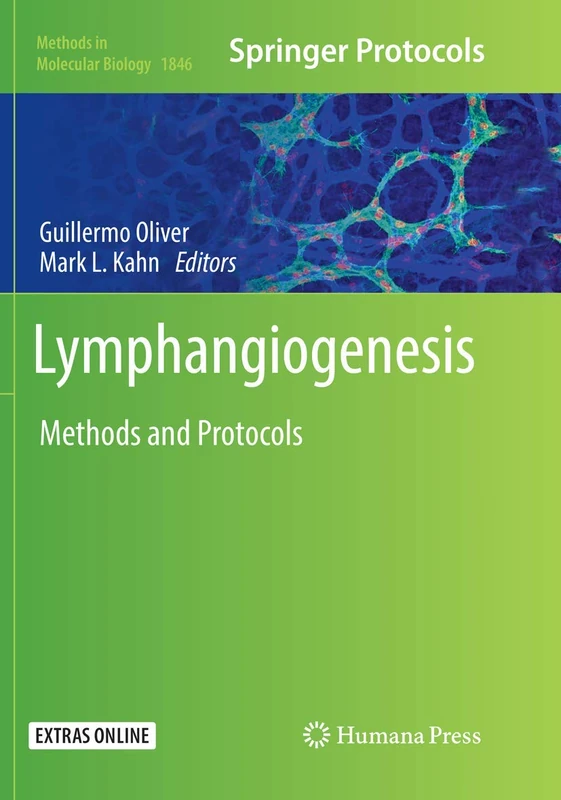 Lymphangiogenesis: Methods and Protocols: 1846 (Methods in Molecular Biology, 1846) - Image 1