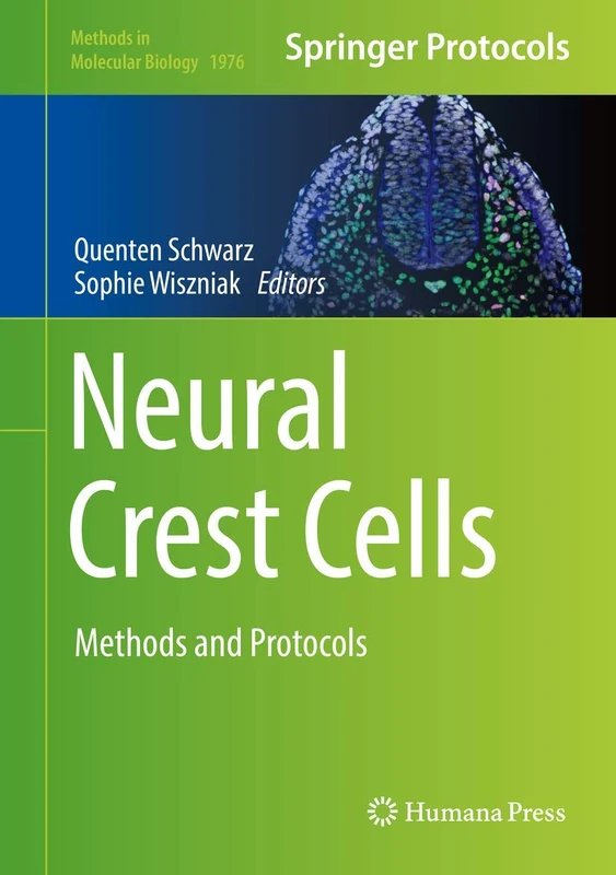 Neural Crest Cells: Methods and Protocols: 1976 (Methods in Molecular Biology, 1976)