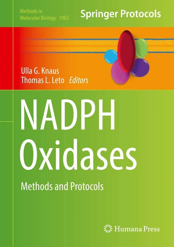 NADPH Oxidases: Methods and Protocols: 1982 (Methods in Molecular Biology, 1982)