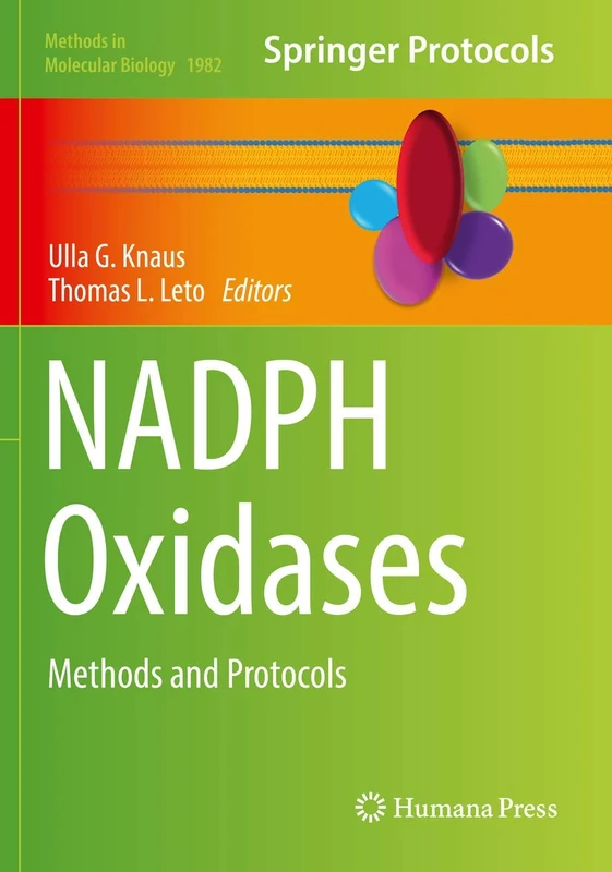 NADPH Oxidases: Methods and Protocols: 1982 (Methods in Molecular Biology, 1982)