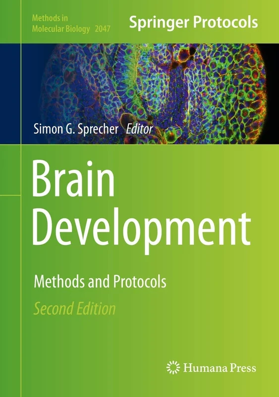Brain Development: Methods and Protocols: 2047 (Methods in Molecular Biology, 2047)
