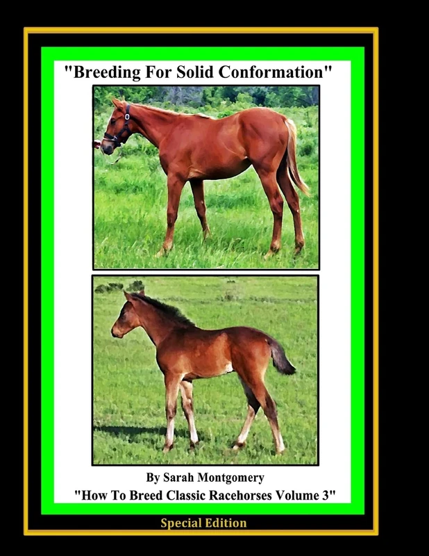 Breeding For Solid Conformation: Volume 3 (How to Breed Classic Racehorses)