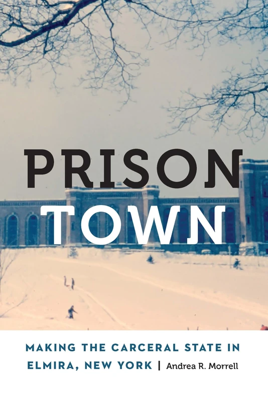 Prison Town: Making the Carceral State in Elmira, New York (Anthropology of Contemporary North America)