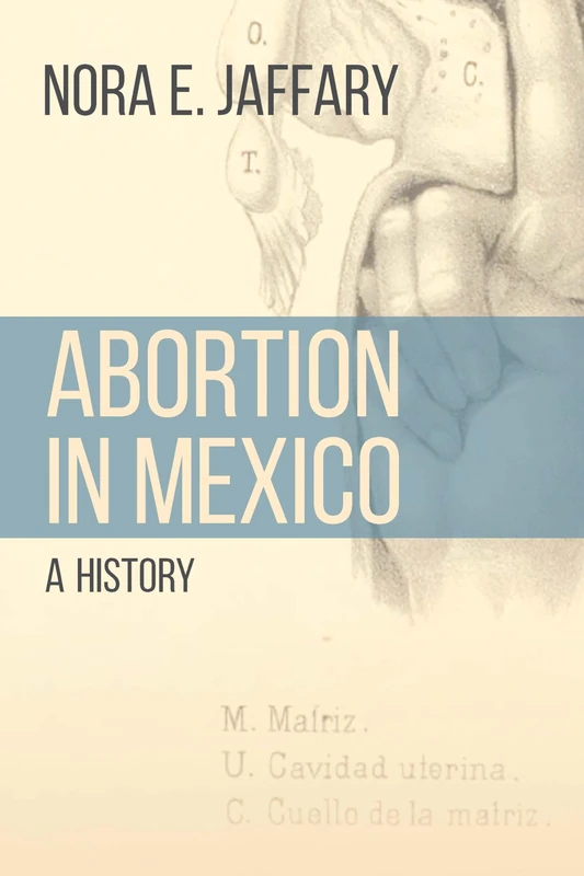 Abortion in Mexico: A History (Engendering Latin America)