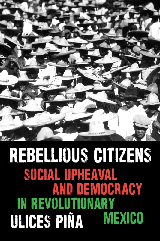Rebellious Citizens: Social Upheaval and Democracy in Revolutionary Mexico (Confluencias)