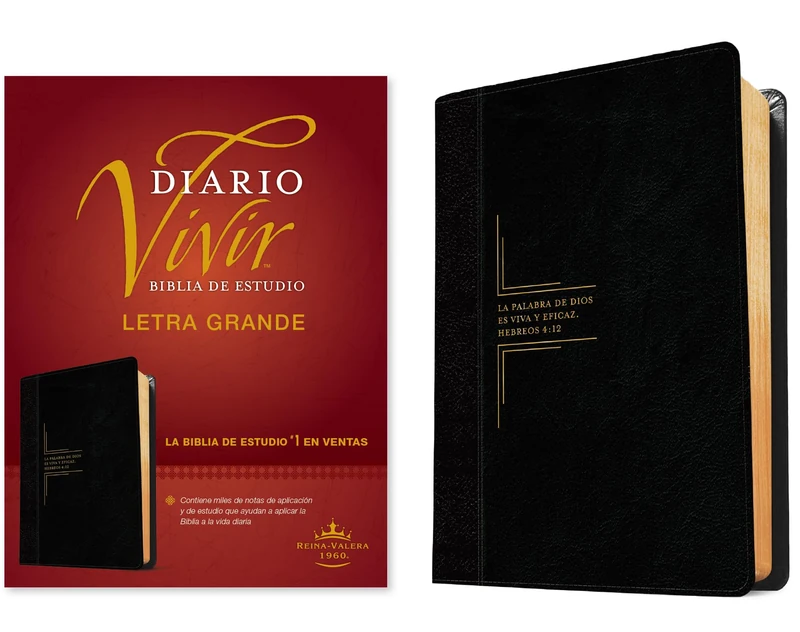 Biblia de estudio del diario vivir RVR60, letra grande: Reina-Valera 1960, negro/onice, sentipiel, letra grande