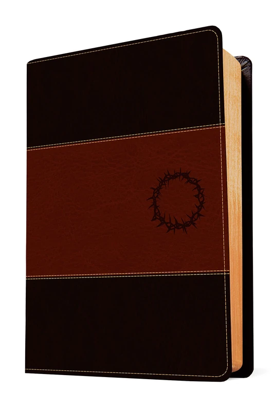 Biblia de Estudio del Diario Vivir Ntv, Letra Grande
