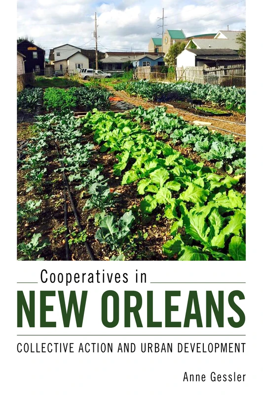 Cooperatives in New Orleans: Collective Action and Urban Development - Image 1
