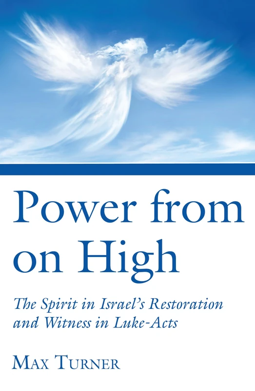 Power from on High: The Spirit in Israel's Restoration and Witness in Luke-Acts