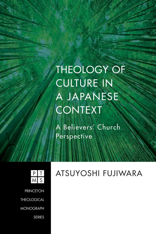 Theology of Culture in a Japanese Context: A Believers' Church Perspective: 179 (Princeton Theological Monograph)
