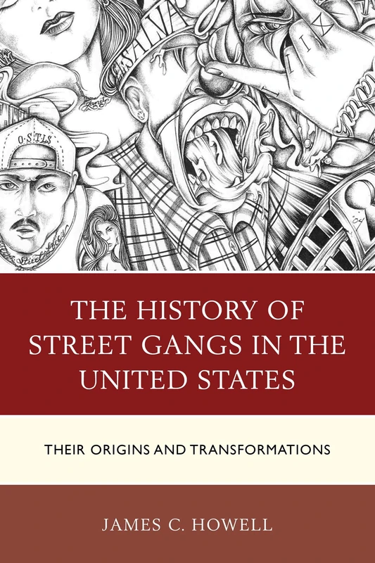 The History of Street Gangs in the United States: Their Origins and Transformations - Image 1