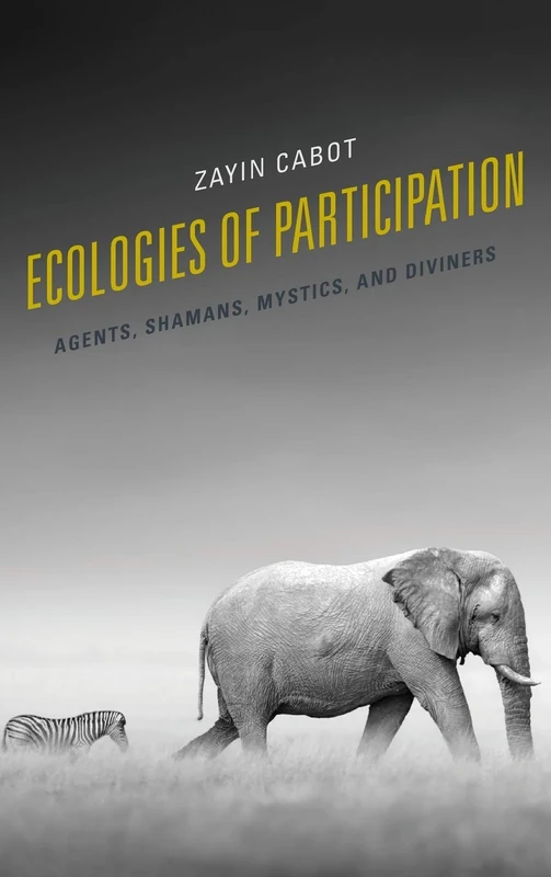Ecologies of Participation: Agents, Shamans, Mystics, and Diviners (Postcolonial and Decolonial Studies in Religion and Theology) - Image 1