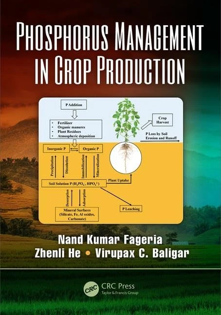 Phosphorus Management in Crop Production