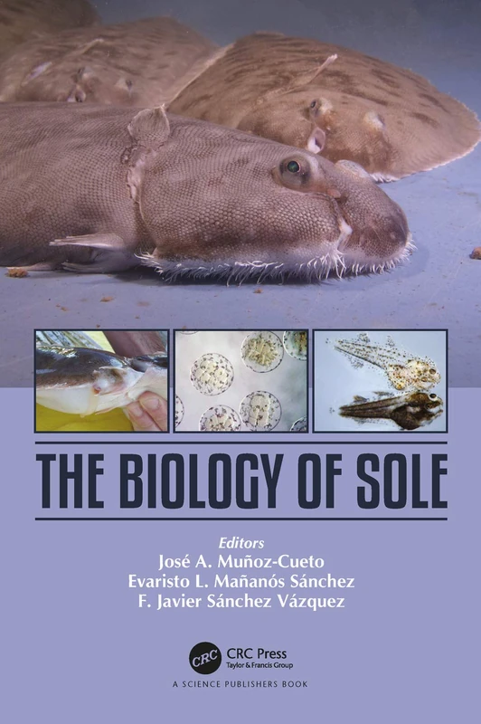 The Biology of Sole - Image 1