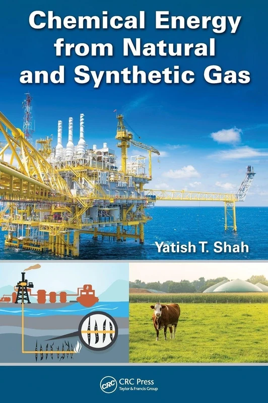 Chemical Energy from Natural and Synthetic Gas (Sustainable Energy Strategies)