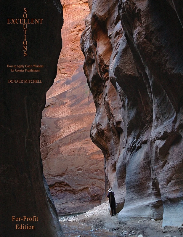 Excellent Solutions: For-Profit Edition: How to Apply God's Wisdom for Greater Fruitfulness