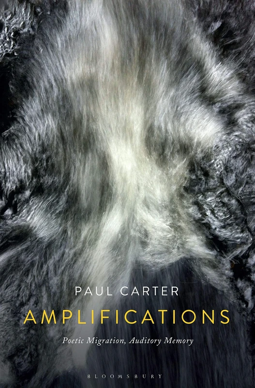 Amplifications: Poetic Migration, Auditory Memory - Image 1