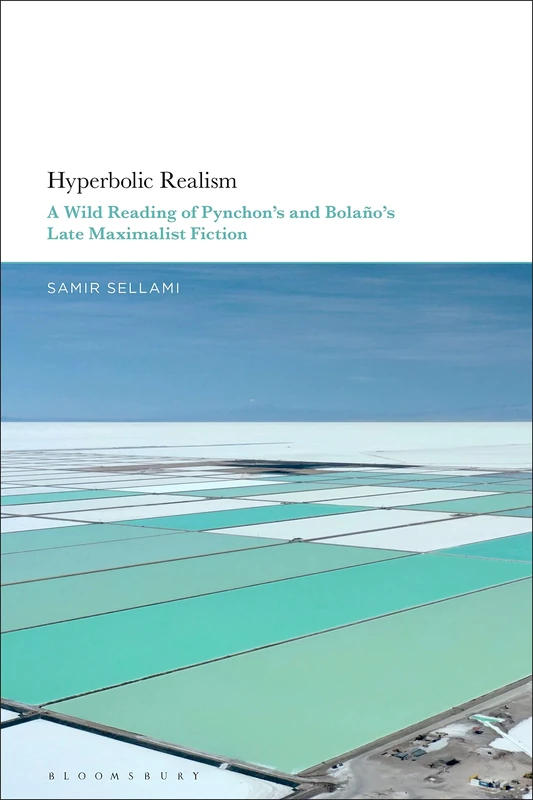 Bloomsbury Hyperbolic Realism - Pynchon and Bolano Literary Study