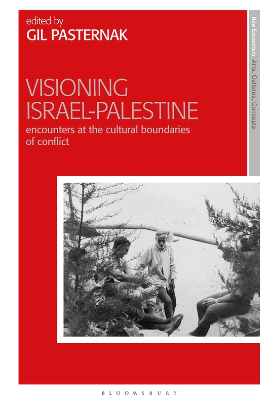 Visioning Israel-Palestine: Encounters at the Cultural Boundaries of Conflict (New Encounters: Arts, Cultures, Concepts)